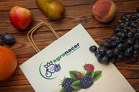 diseño logotipos únicos, diseño gráfico, imagen visual, impactante, minimalistas, personalizados